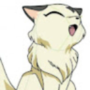 Meet your Posher, Tommie